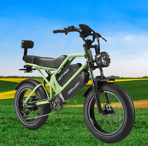 HappyRun G70 2000W Electric Cargo Bike