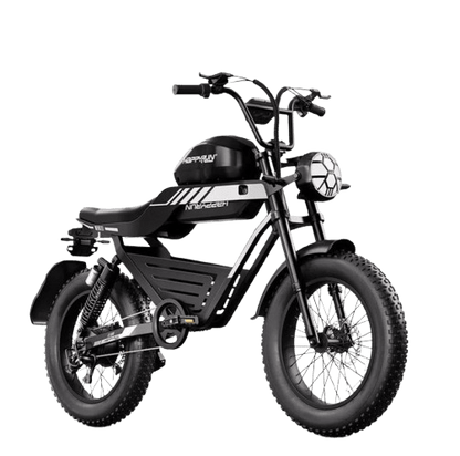 HappyRun G100 2000W Electric Bike