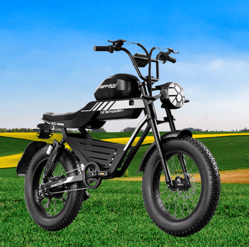 HappyRun G100 2000W Electric Bike