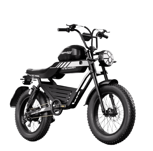 HappyRun G100 2000W Electric Bike
