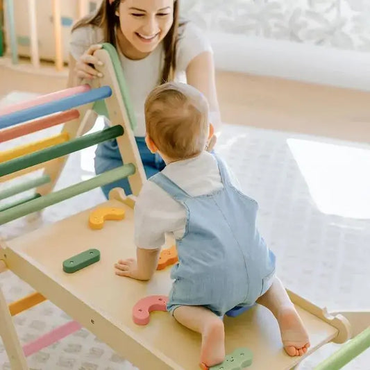 Tiny Land 7 in 1  Morandi Pikler Triangle Set