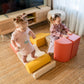 IGLU Soft Play Activity Set Discoverer